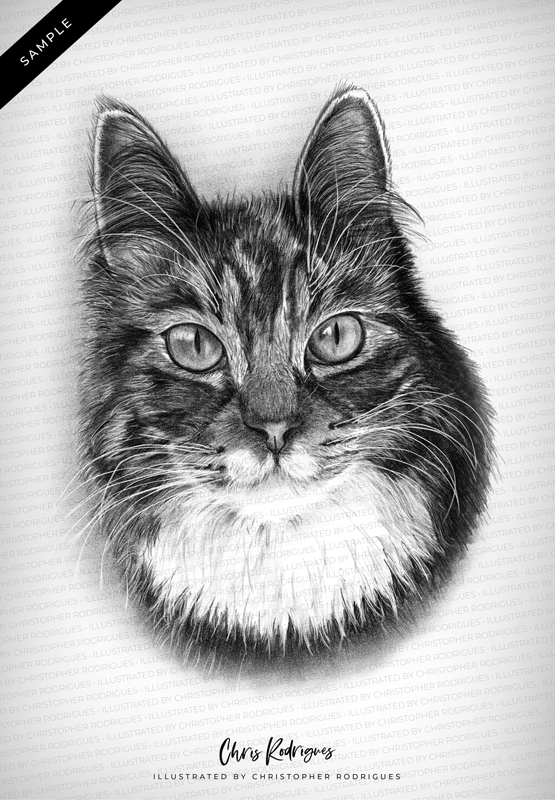 Fur Baby Portrait - Image 2